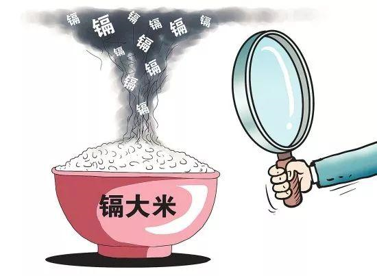 全自動(dòng)石墨消解儀助力大米重金屬檢測(cè)